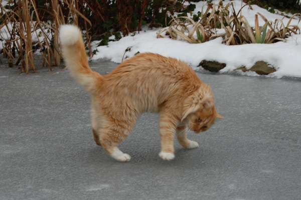 und beim Eislaufen.jpg